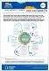 6. Missing Middle model of care 2024.pdf.jpg